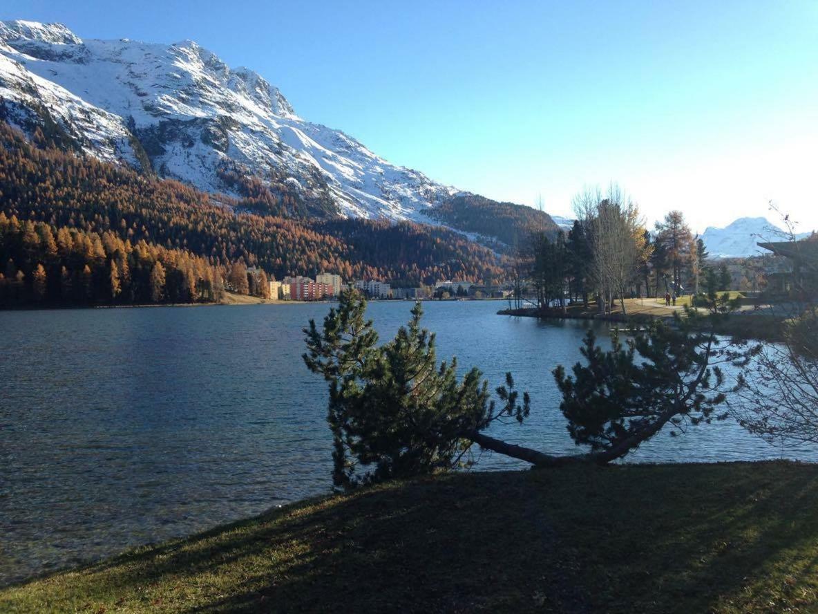 Free Hugs Hotel Mazzo di Valtellina Exterior photo